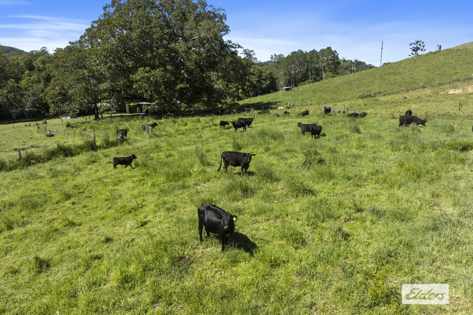 Additional image 33 of 69 Blakeneys Road, Stokers Siding NSW 2484