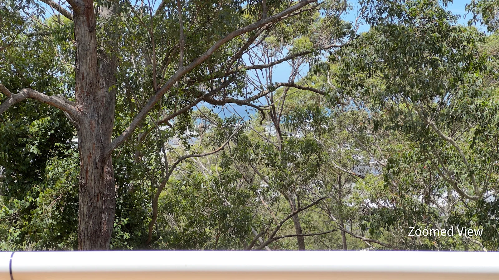 Additional image 29 of 49 Forest Parade, Tomakin NSW 2537