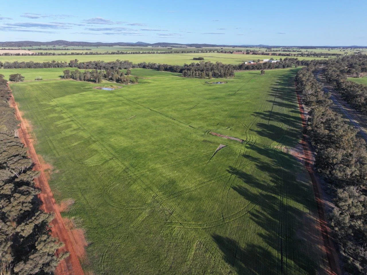 Additional image 11 of Part Westbury Goldfields Way, Barmedman NSW 2668