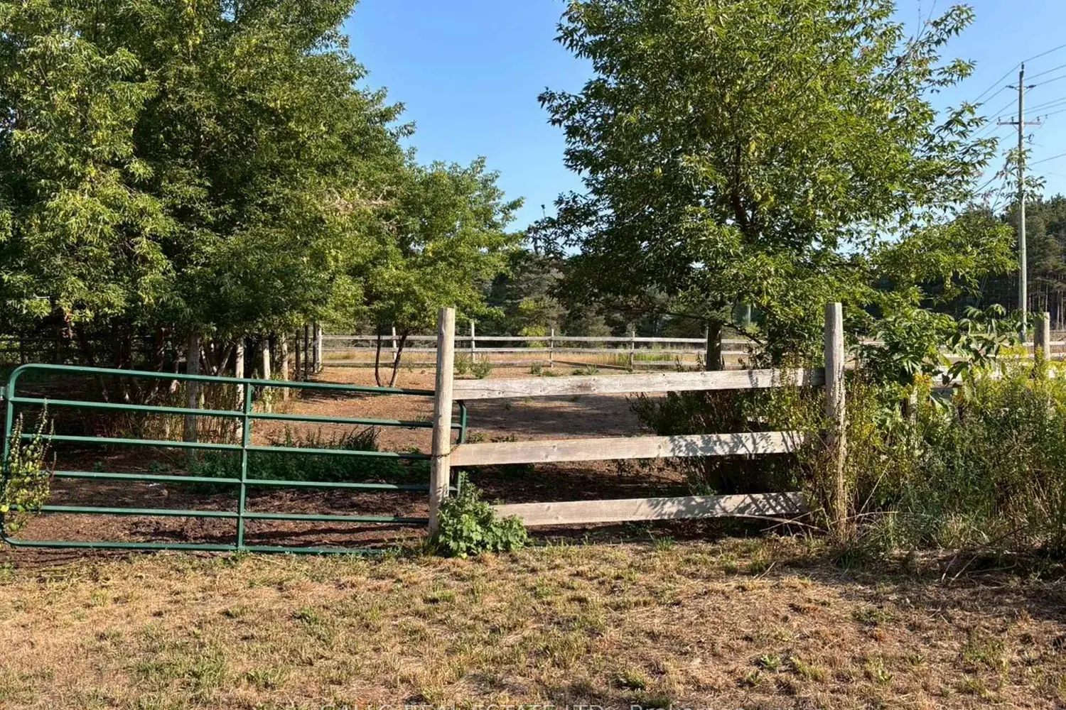 Additional image 8 of 16558 Highway 48