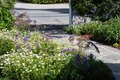 Additional image 4 of 384 Hawthorne Ave, Los Altos, CA, 94022