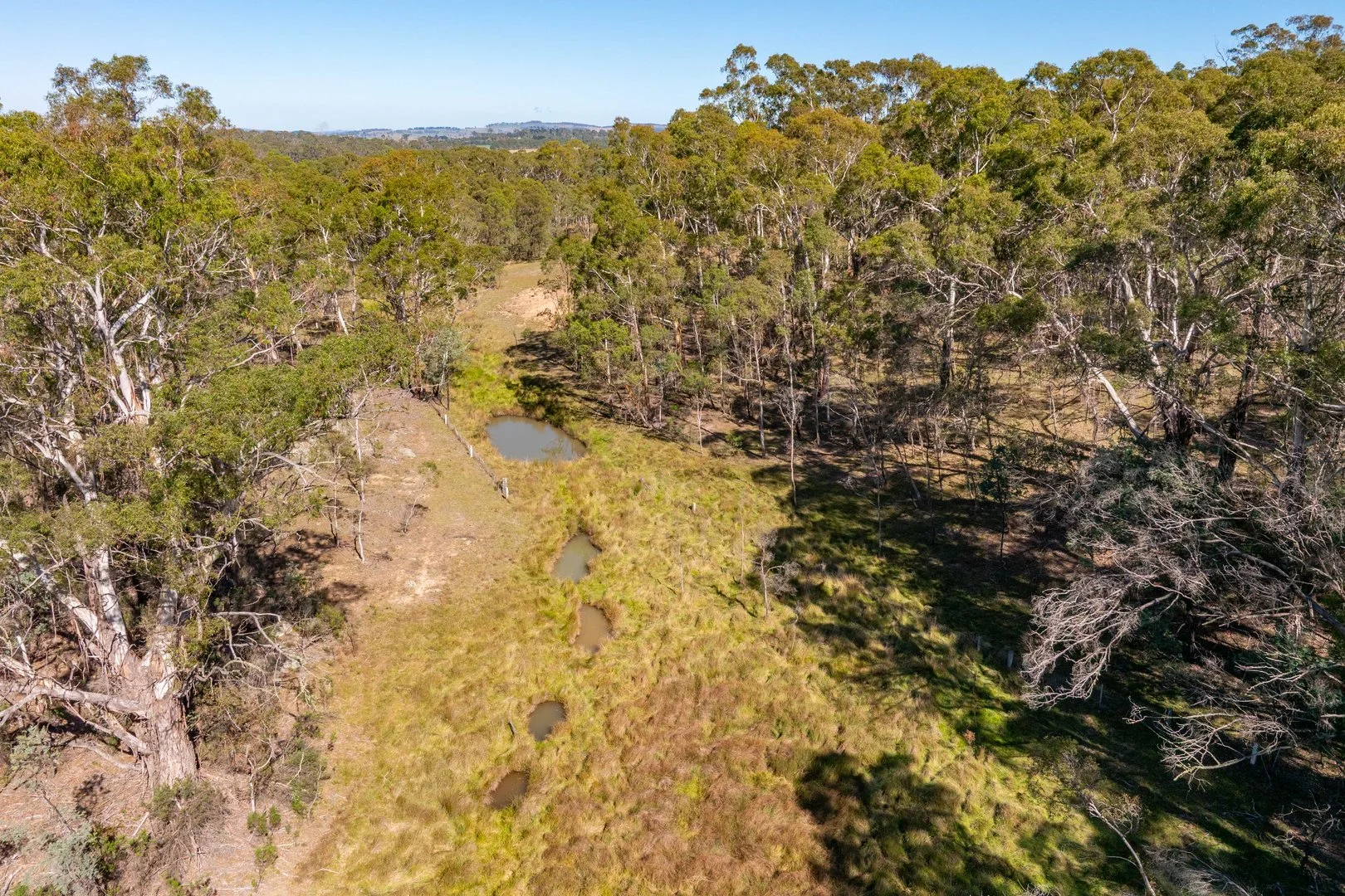 Additional image 26 of 91 Rosehill Road, Bombala NSW 2632