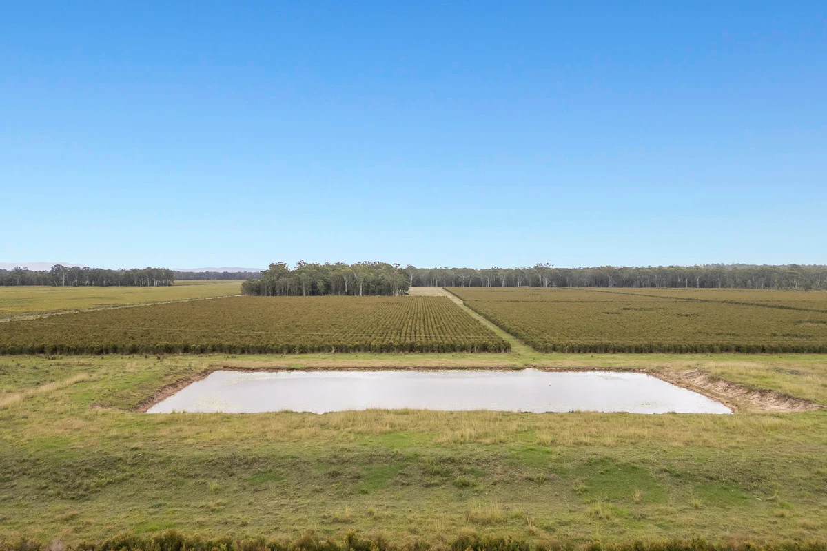 Additional image 43 of 8855 Summerland Way, Leeville NSW 2470