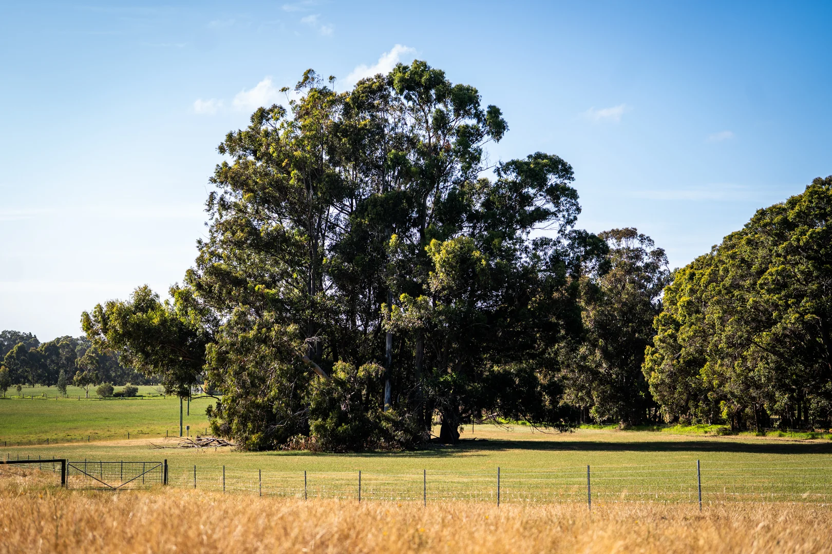 Additional image 21 of 89 Worgan Road, Metricup WA 6280