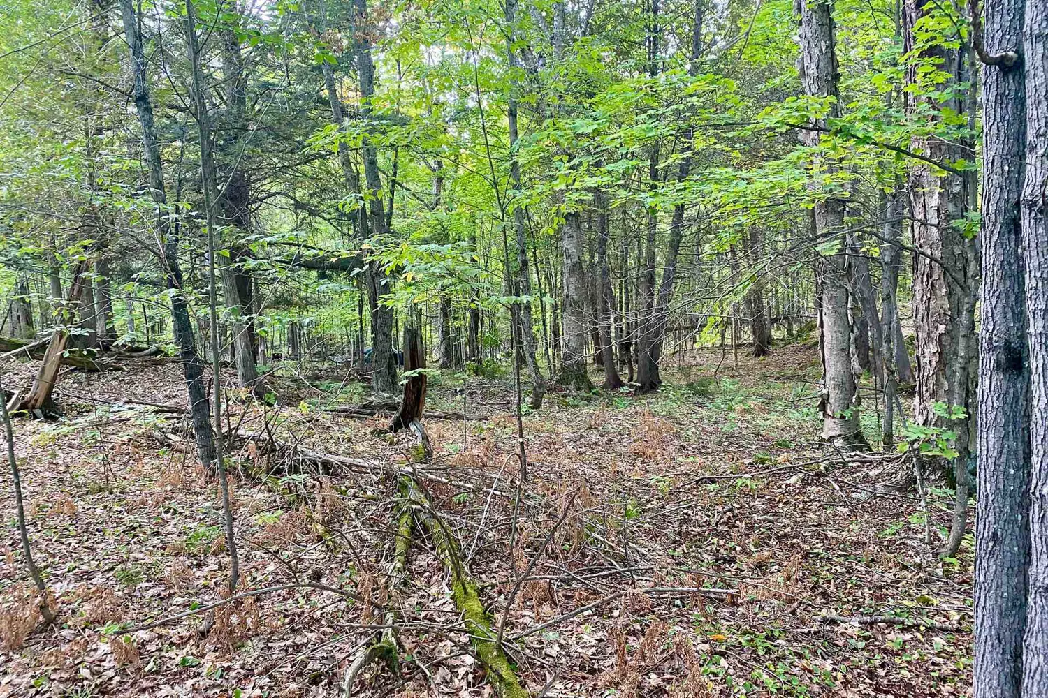 Additional image 6 of 0 Clear Lake Road