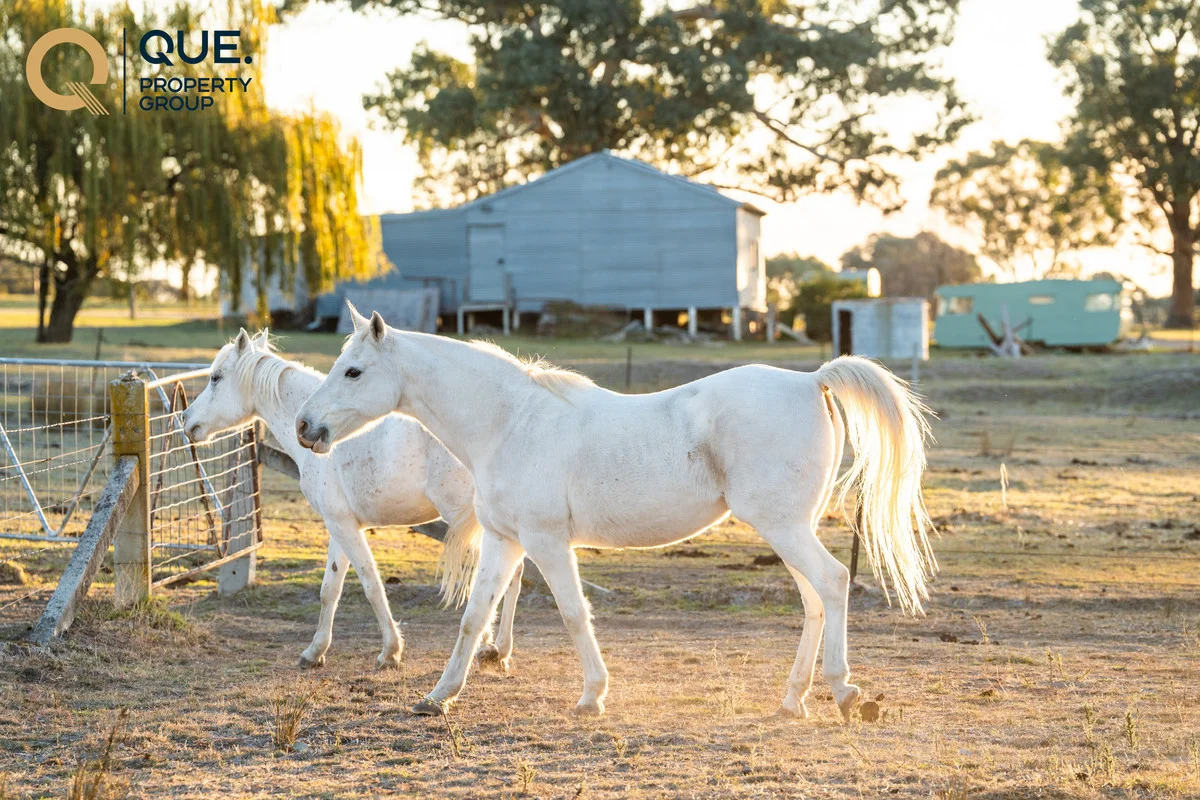 Additional image 25 of 624 Dights Forest Road, Table Top NSW 2640
