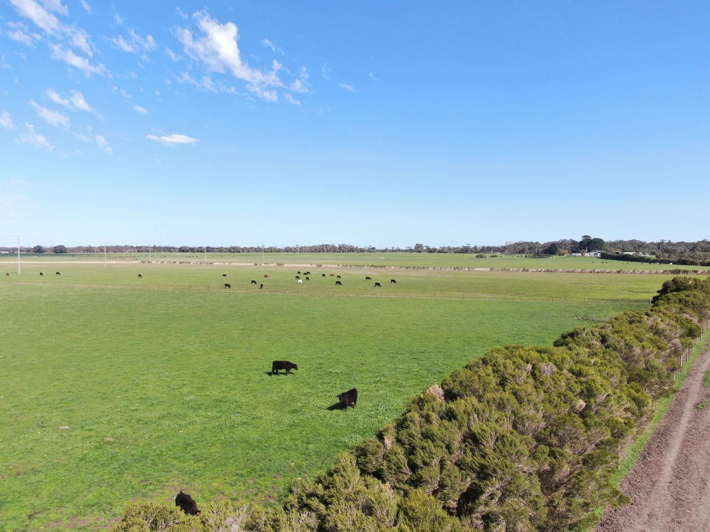 Additional image 5 of 1877 Inverloch Venus Bay Road, Tarwin Lower VIC 3956