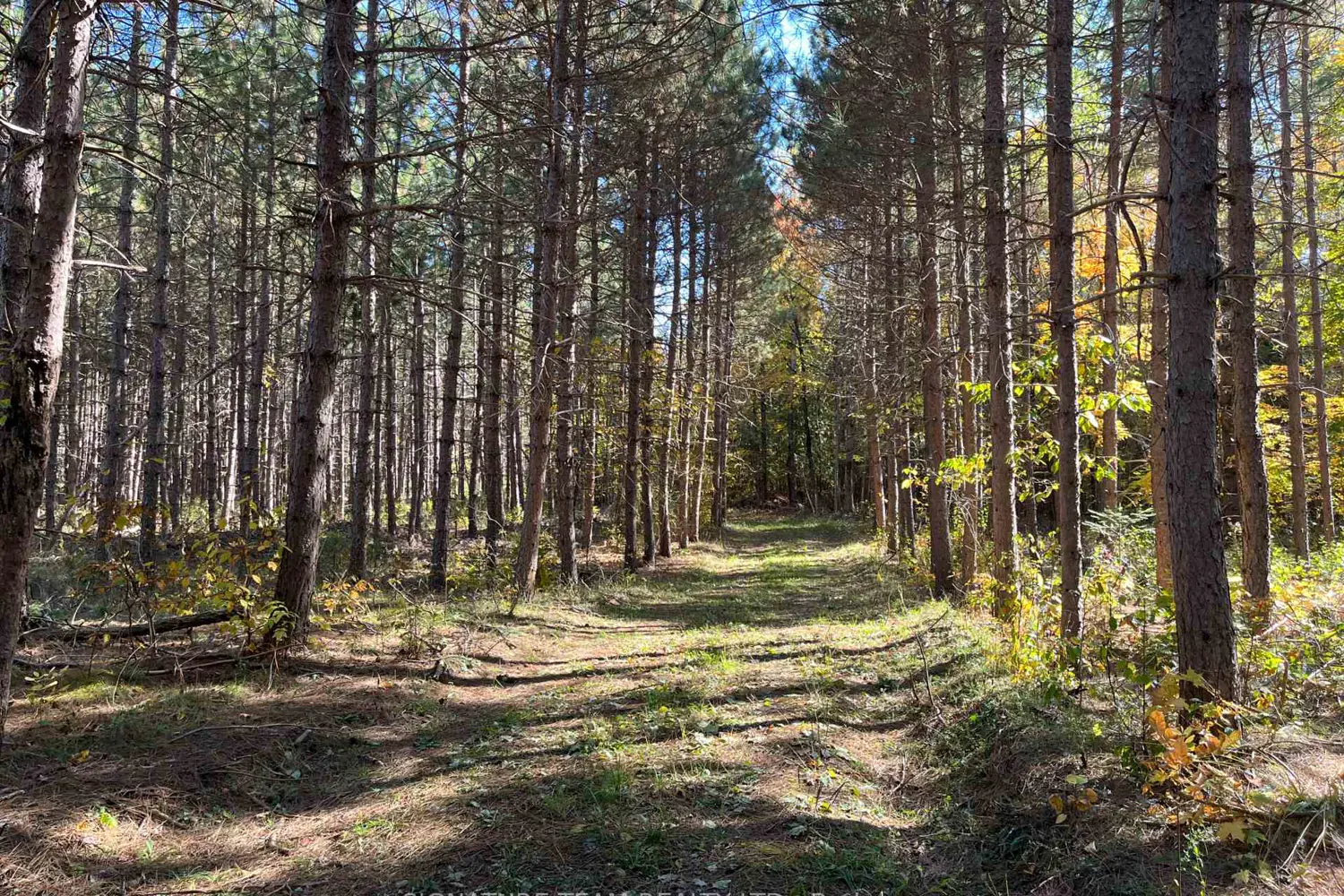Additional image 6 of 0 Minnie Road