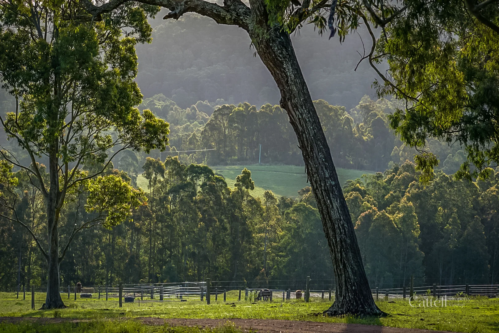 Additional image 8 of 60 Blue Bonnett Road, Lambs Valley NSW 2335