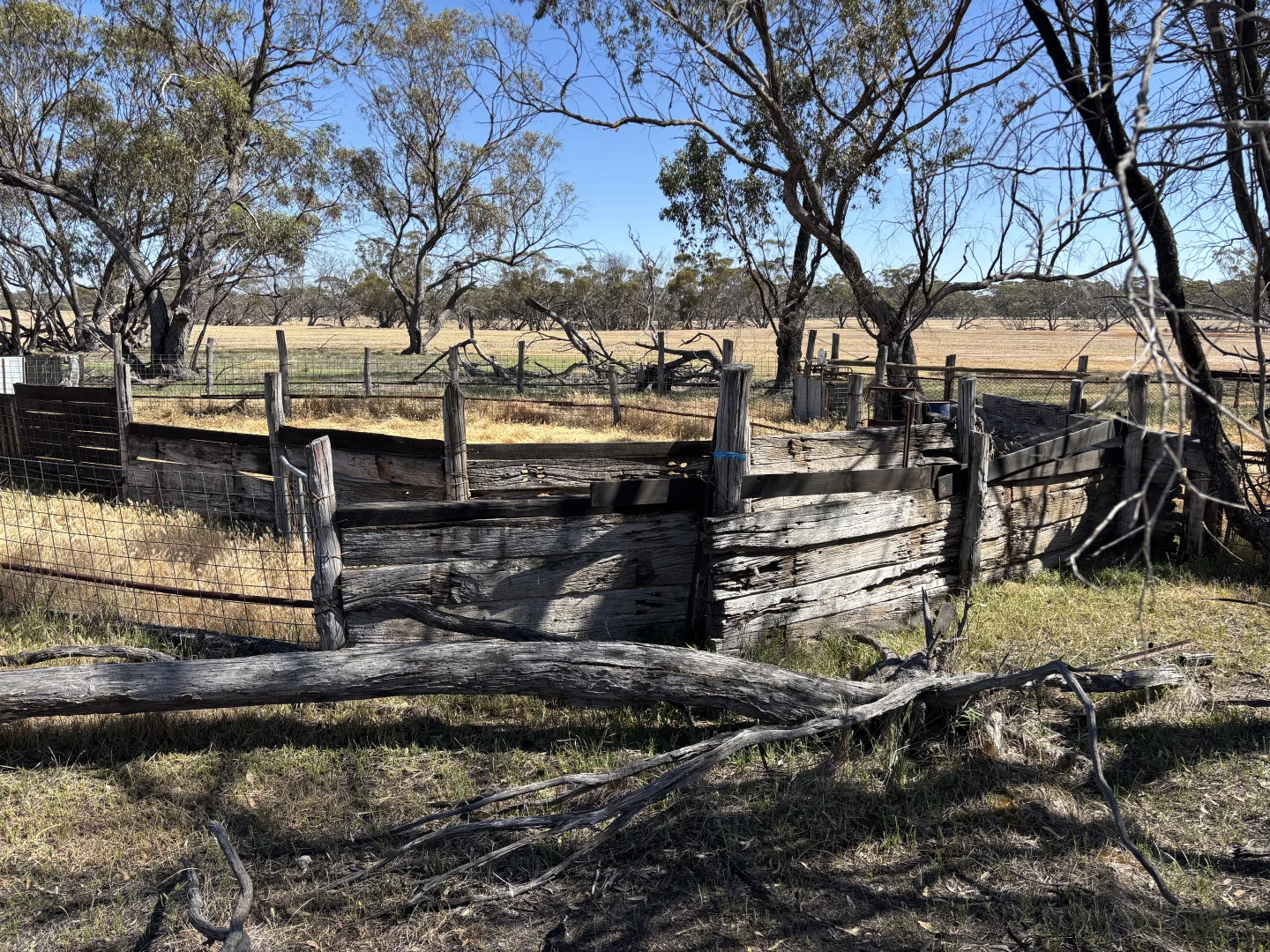 Additional image 12 of . 'Cobbers Soak', Quairading WA 6383