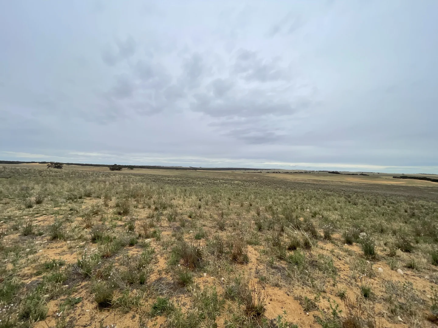 Additional image 8 of 2440 Black Hill Road, Black Hill SA 5353