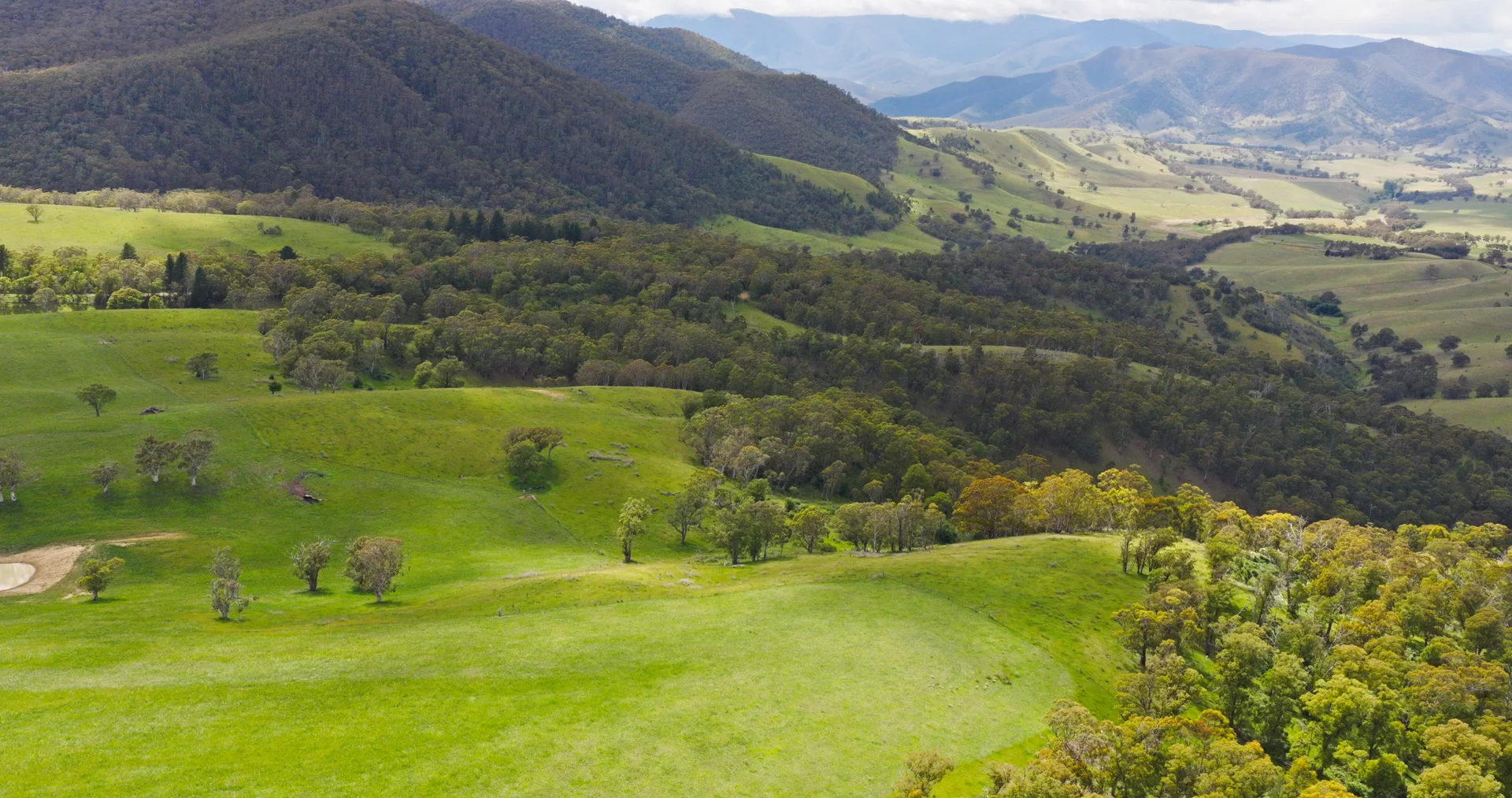 Additional image 25 of Lot 3 - 289 Tongio Gap Road, Tongio VIC 3896