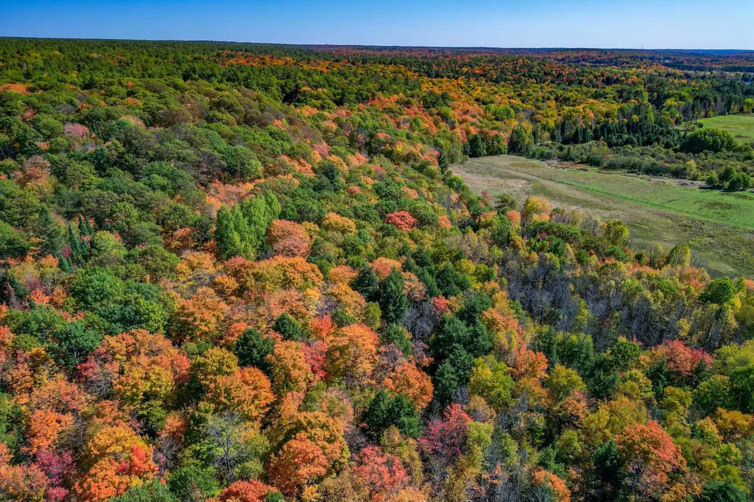 Additional image 17 of 186 Turtle Lake Road