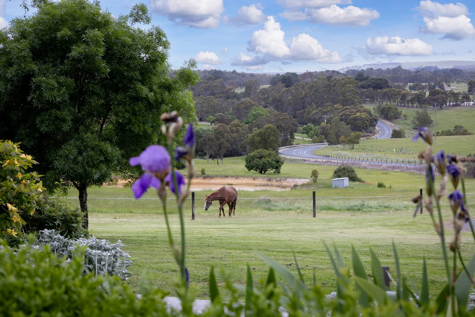Additional image 18 of 447 Buninyong - Mount Mercer Road, Durham Lead VIC 3352