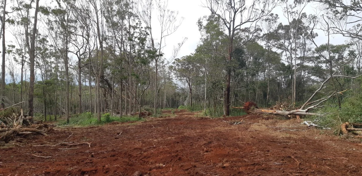 Additional image 17 of 405 Oak Hills Road, Mount Fox QLD 4850