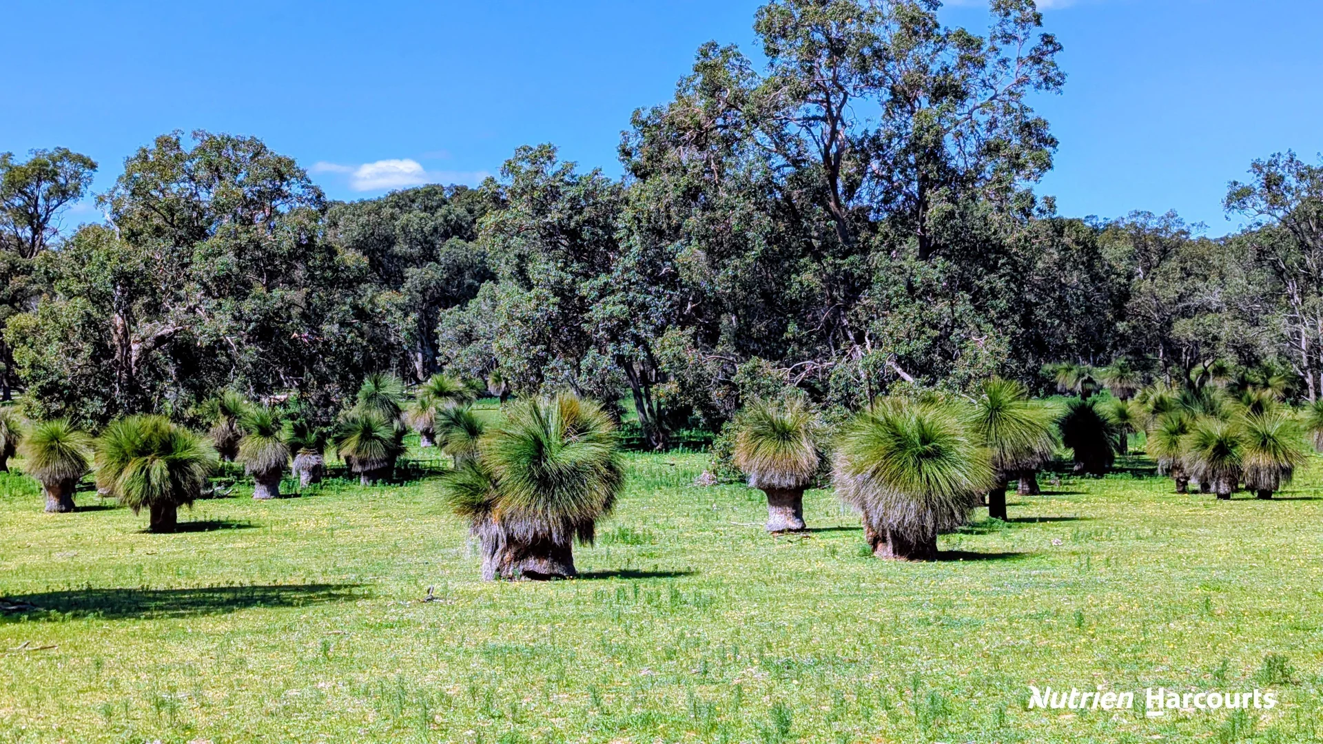 Additional image 33 of Lot 53 Cowalla Road, Cowalla WA 6503