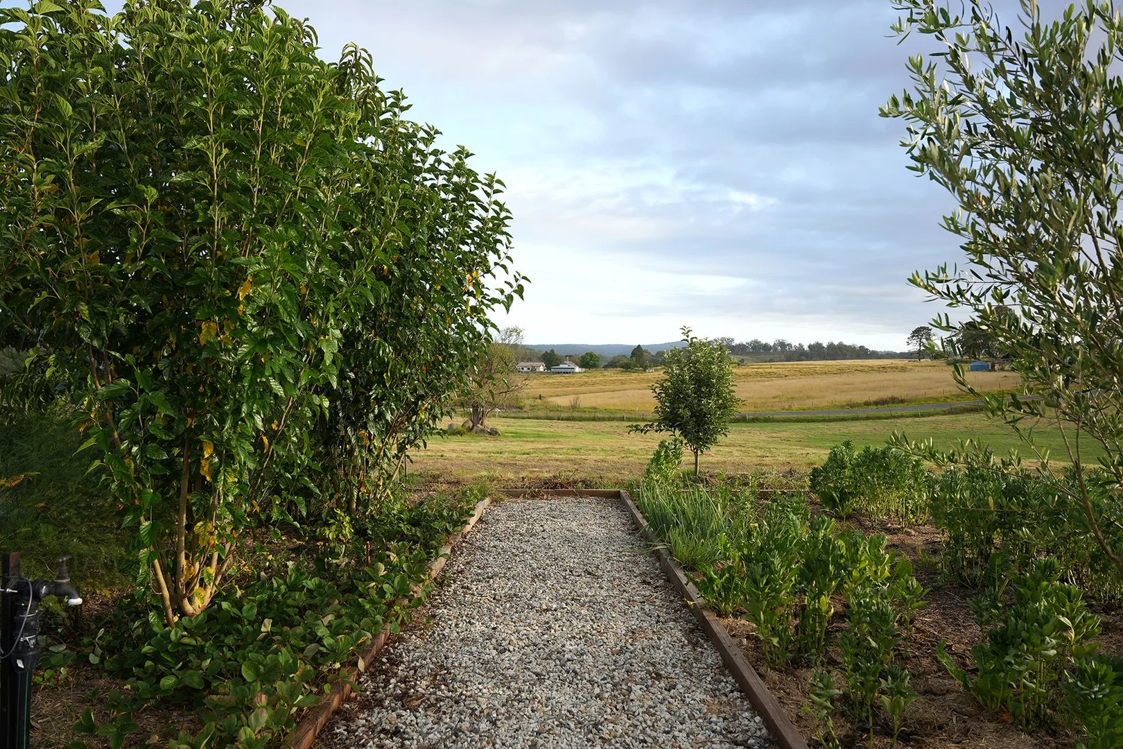 Additional image 6 of 171 Millers Lane, Tenterfield NSW 2372