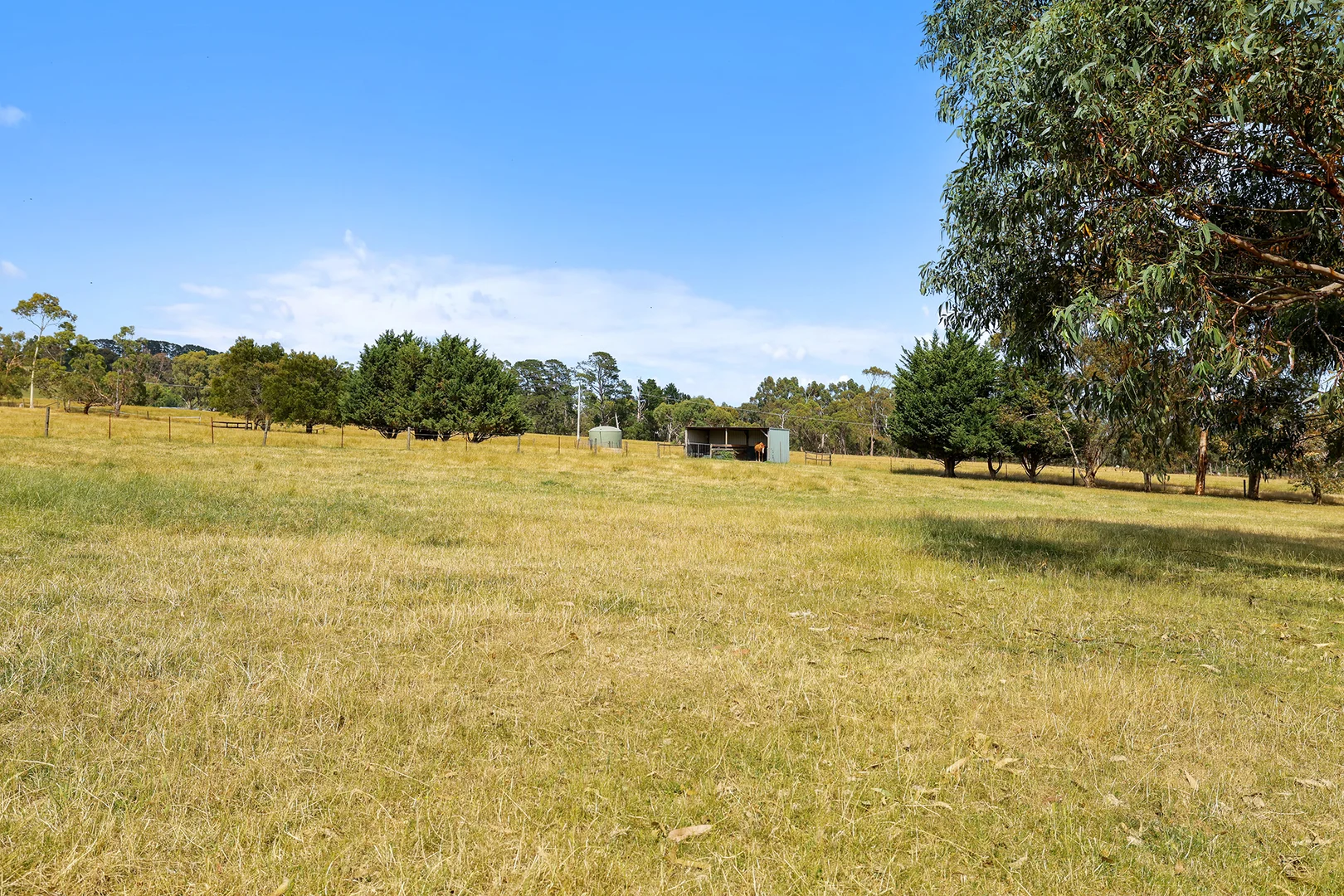 Additional image 26 of 31 Jagoe Road, Ripplebrook VIC 3818