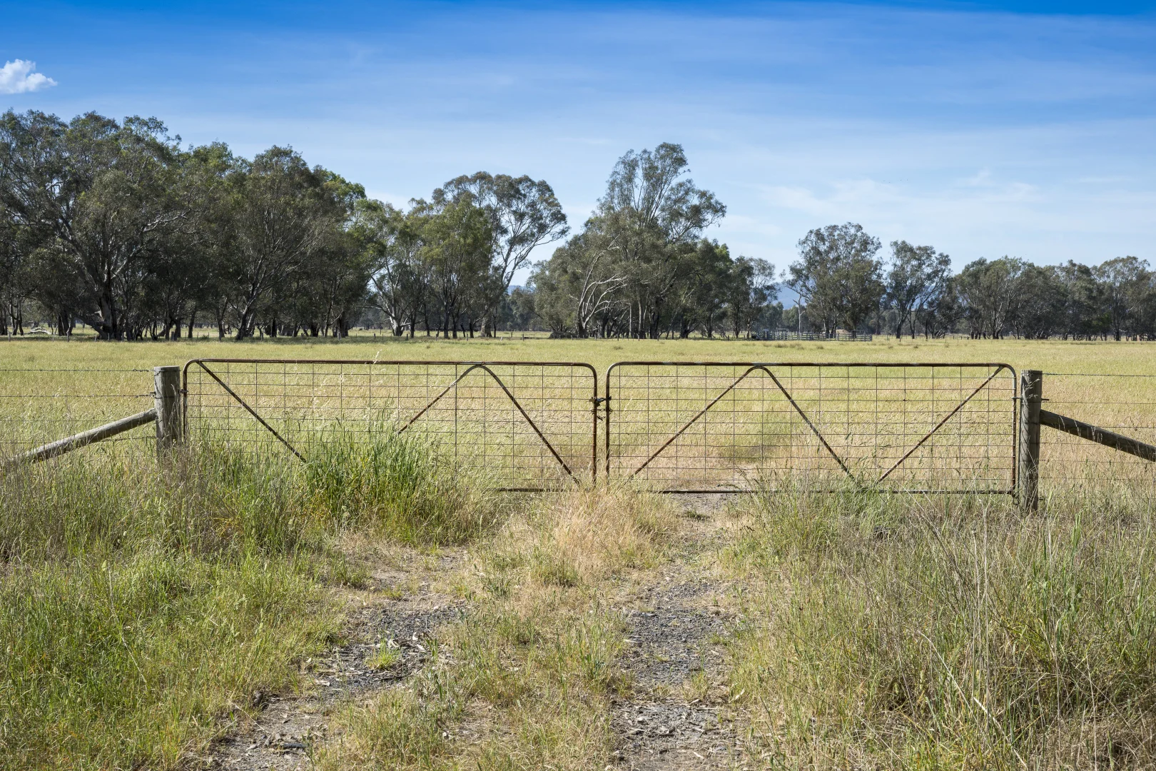 Additional image 6 of CA29A Baddaginnie-Benalla Road, Baddaginnie VIC 3670