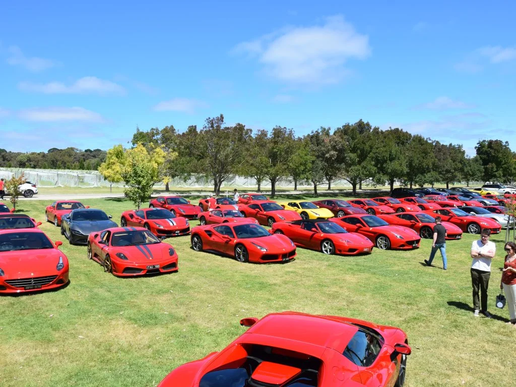 Additional image 29 of Harrisons Road, Dromana VIC 3936