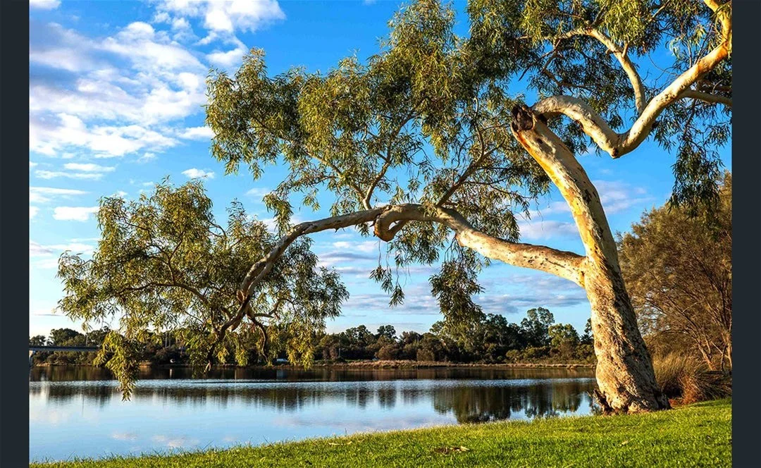 Additional image 5 of Wilson WA 6107