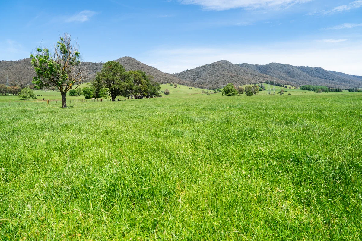 Additional image 7 of 4320 Kiewa Valley Highway, Dederang VIC 3691