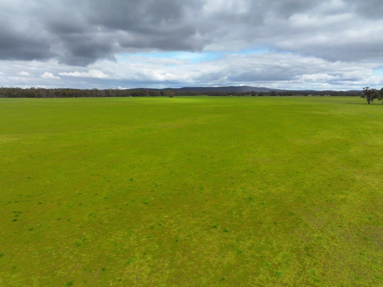 Additional image 13 of - Kurting Kingower Road, Kurting VIC 3517