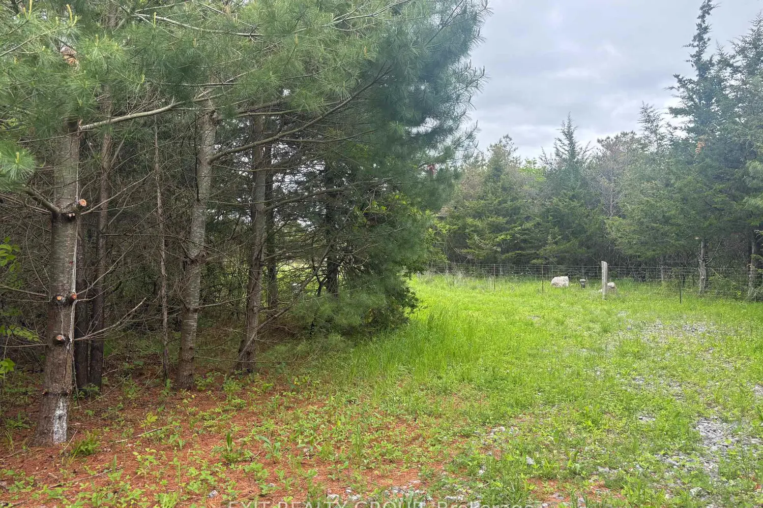 Additional image 4 of 262 Johnston Road