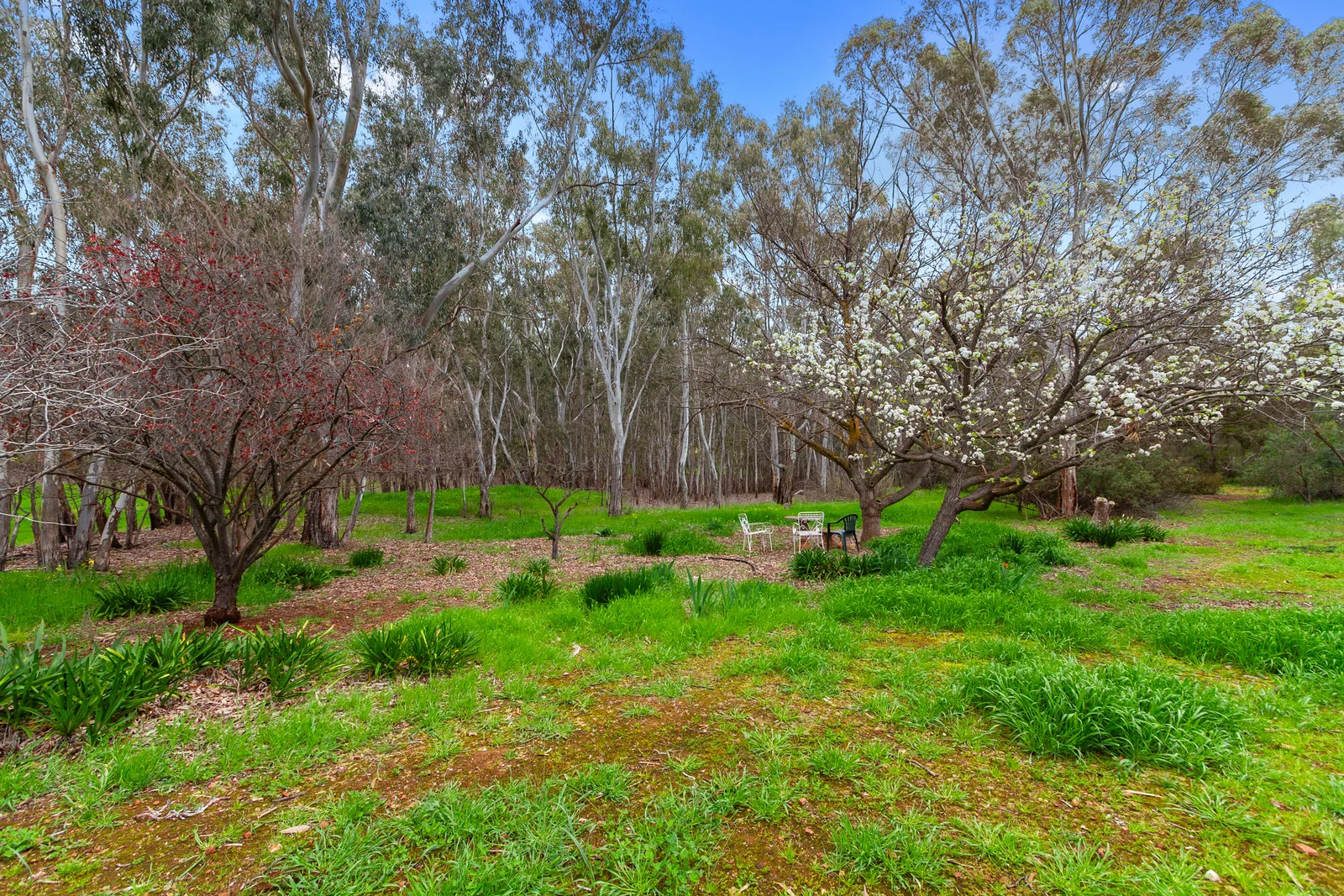 Additional image 21 of 277 Lamkins Road, Auburn SA 5451