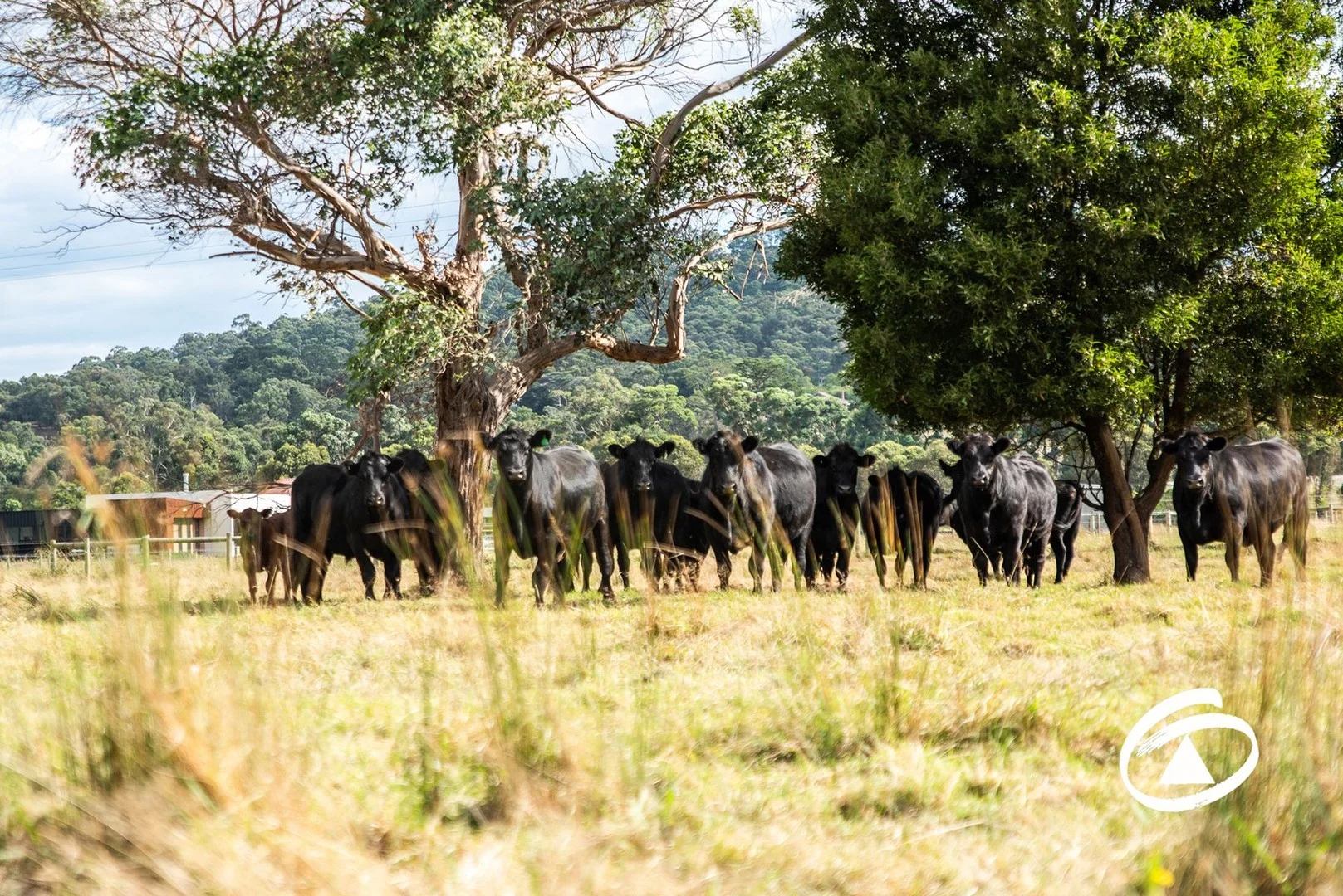 Additional image 3 of 425 Toomuc Valley Road, Pakenham VIC 3810