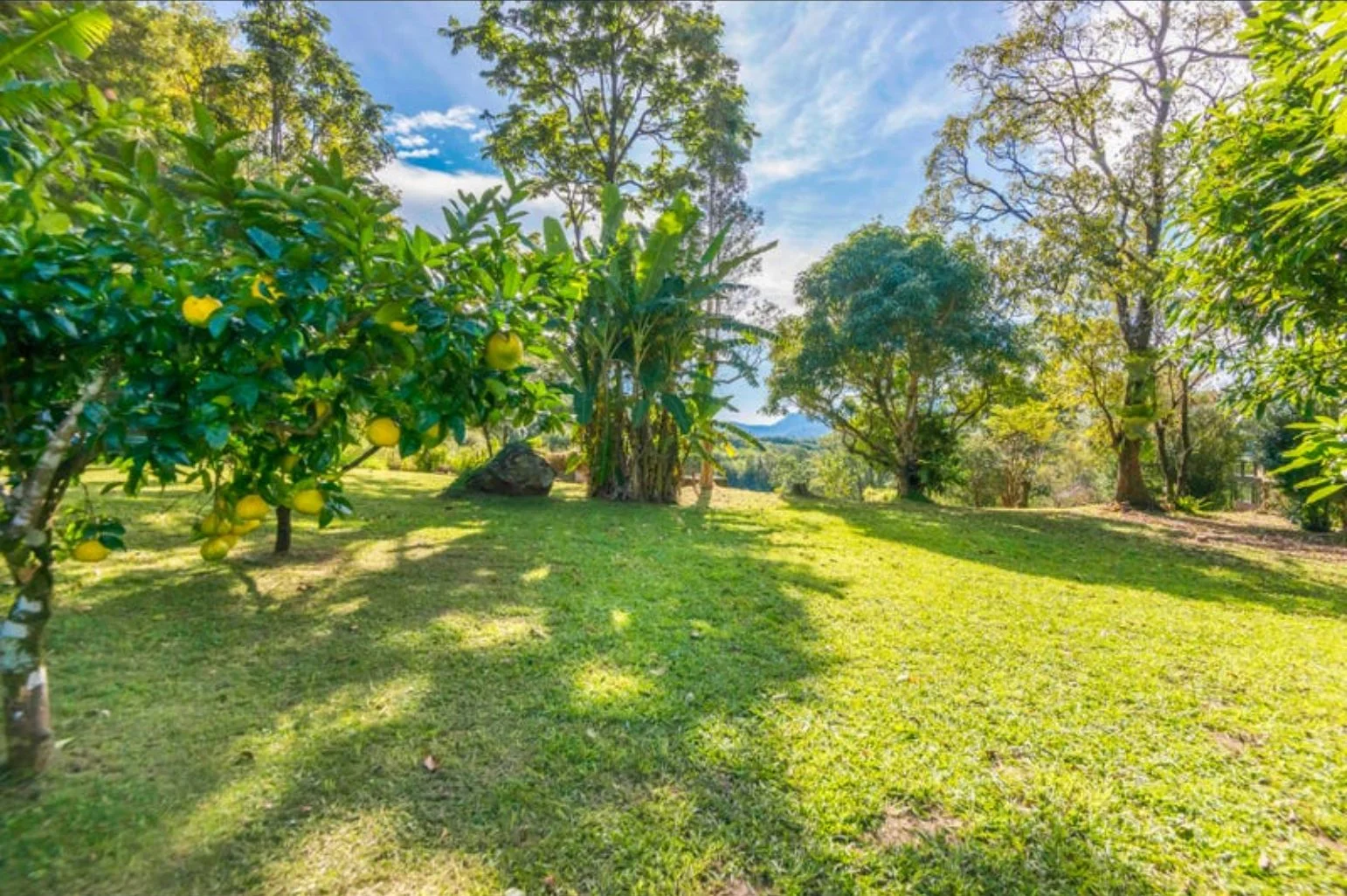 Additional image 30 of 3/45a Lawler Road, Terania Creek NSW 2480