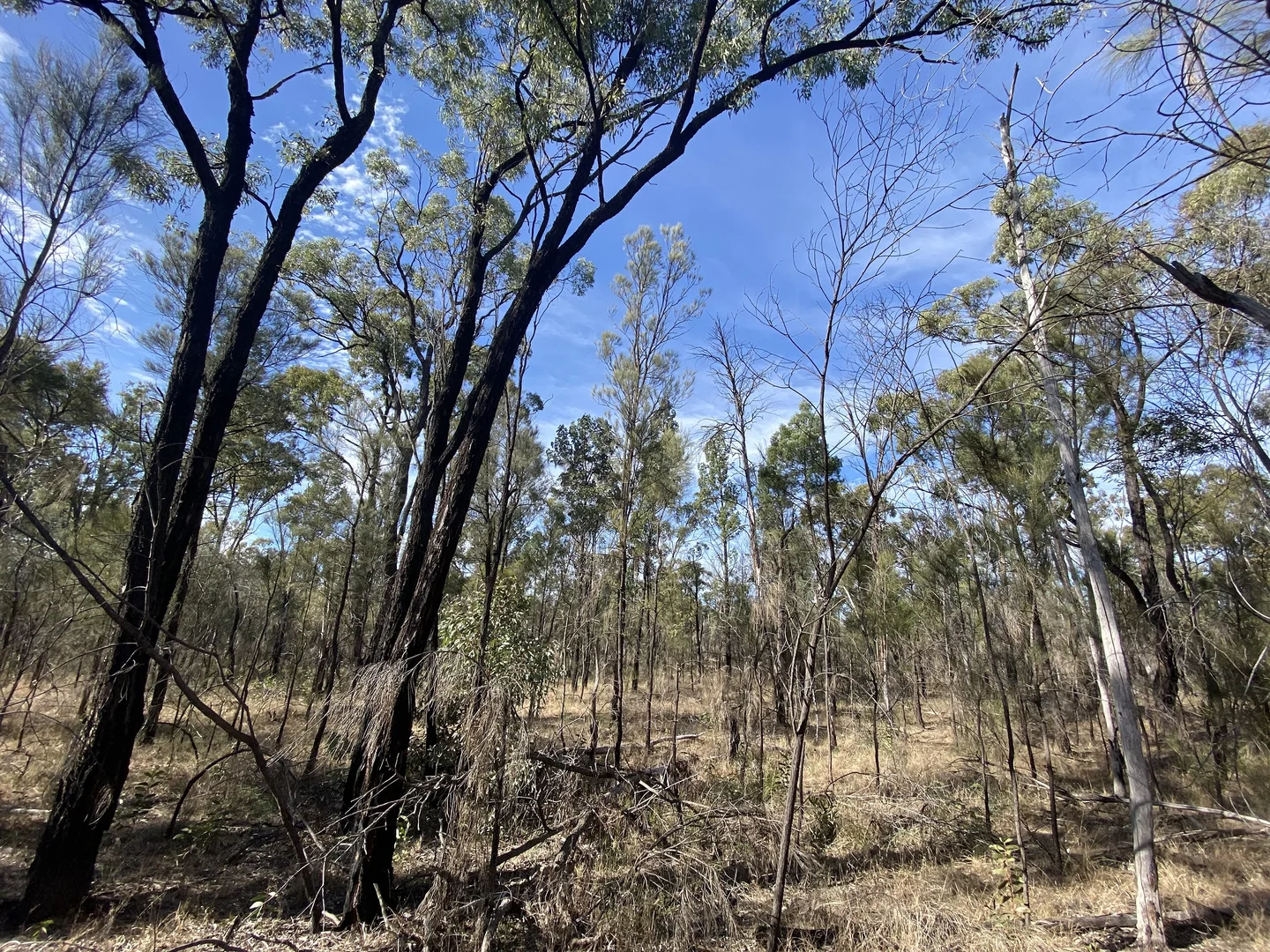 Additional image 18 of Golden Glow Road, Tara QLD 4421