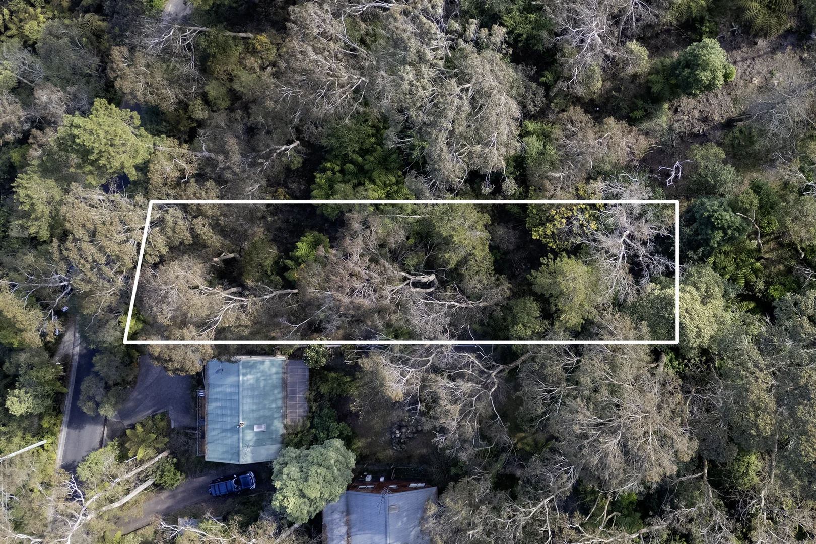 Additional image 2 of 51 Dell Street, Blackheath NSW 2785