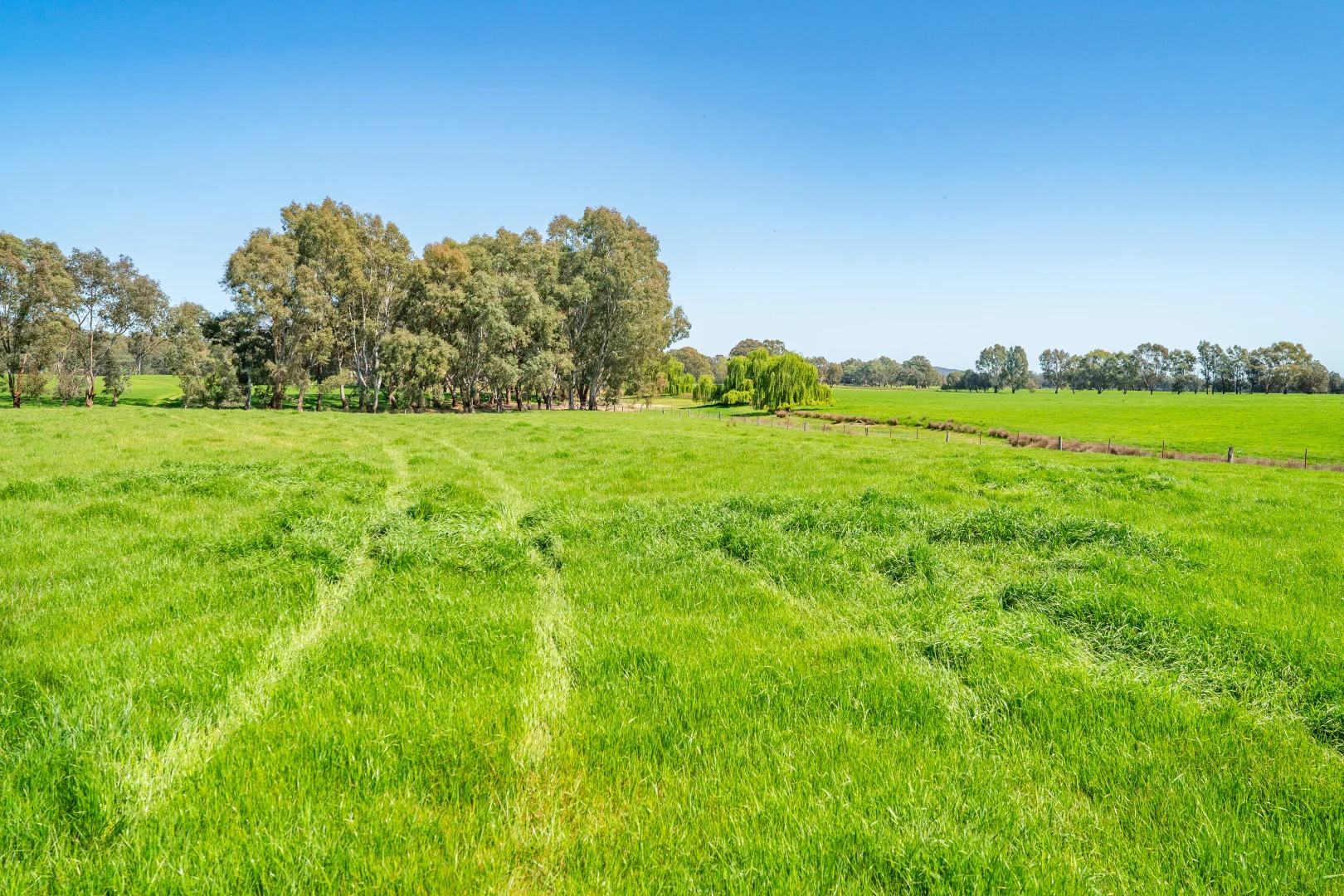 Additional image 36 of 336B Cookinburra Road, Indigo Valley VIC 3688