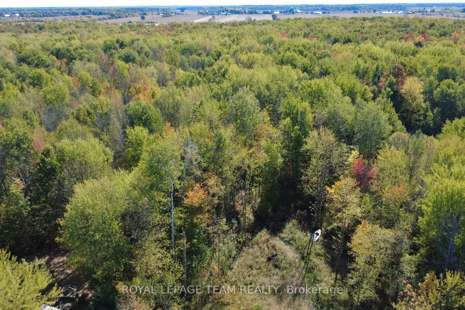 Additional image 7 of 10586 Seibert Road