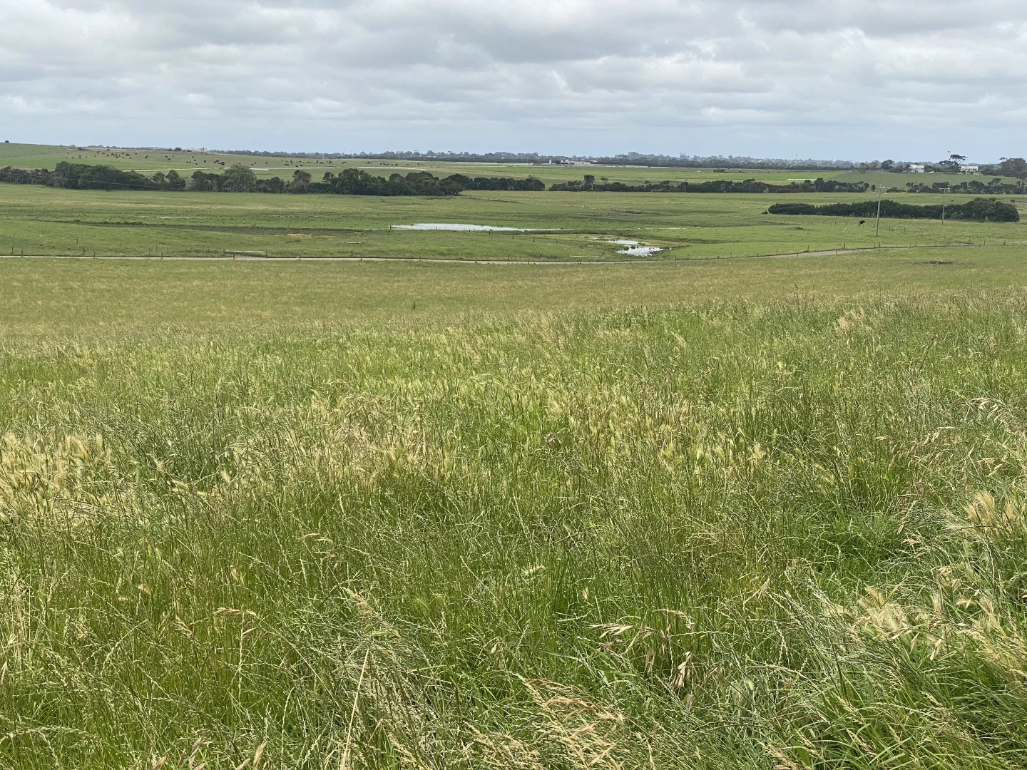 Additional image 18 of 2805 Loch Wonthaggi, West Creek VIC 3992