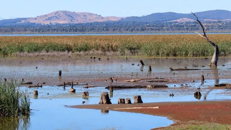 Additional image 2 of 625 Lake Mokoan Rd, Chesney Vale VIC 3725