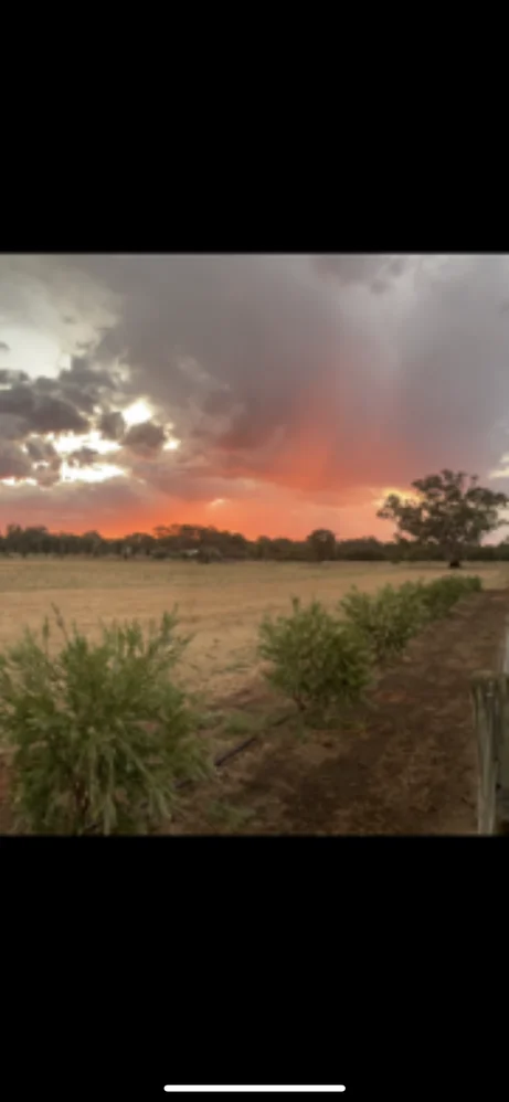 Additional image 3 of Lot 3 North Barham Road, Barham NSW 2732