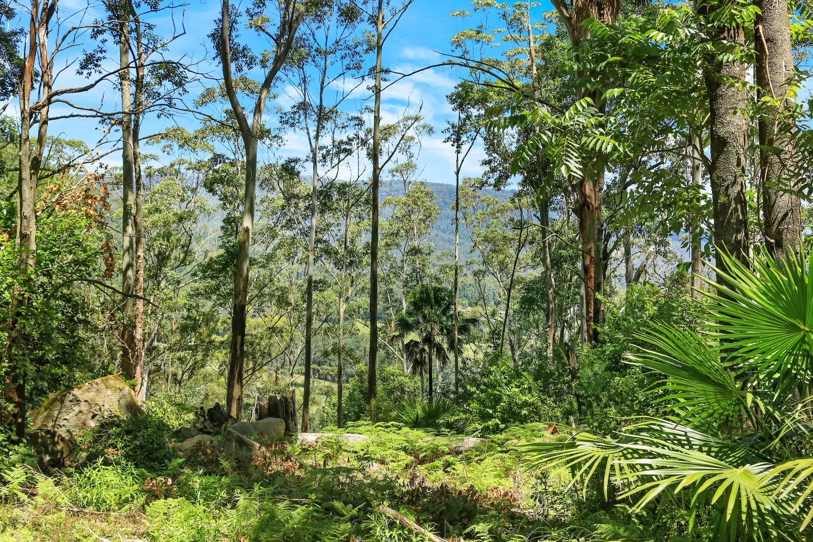 Additional image 10 of 826 Mount Scanzi Road, Kangaroo Valley NSW 2577