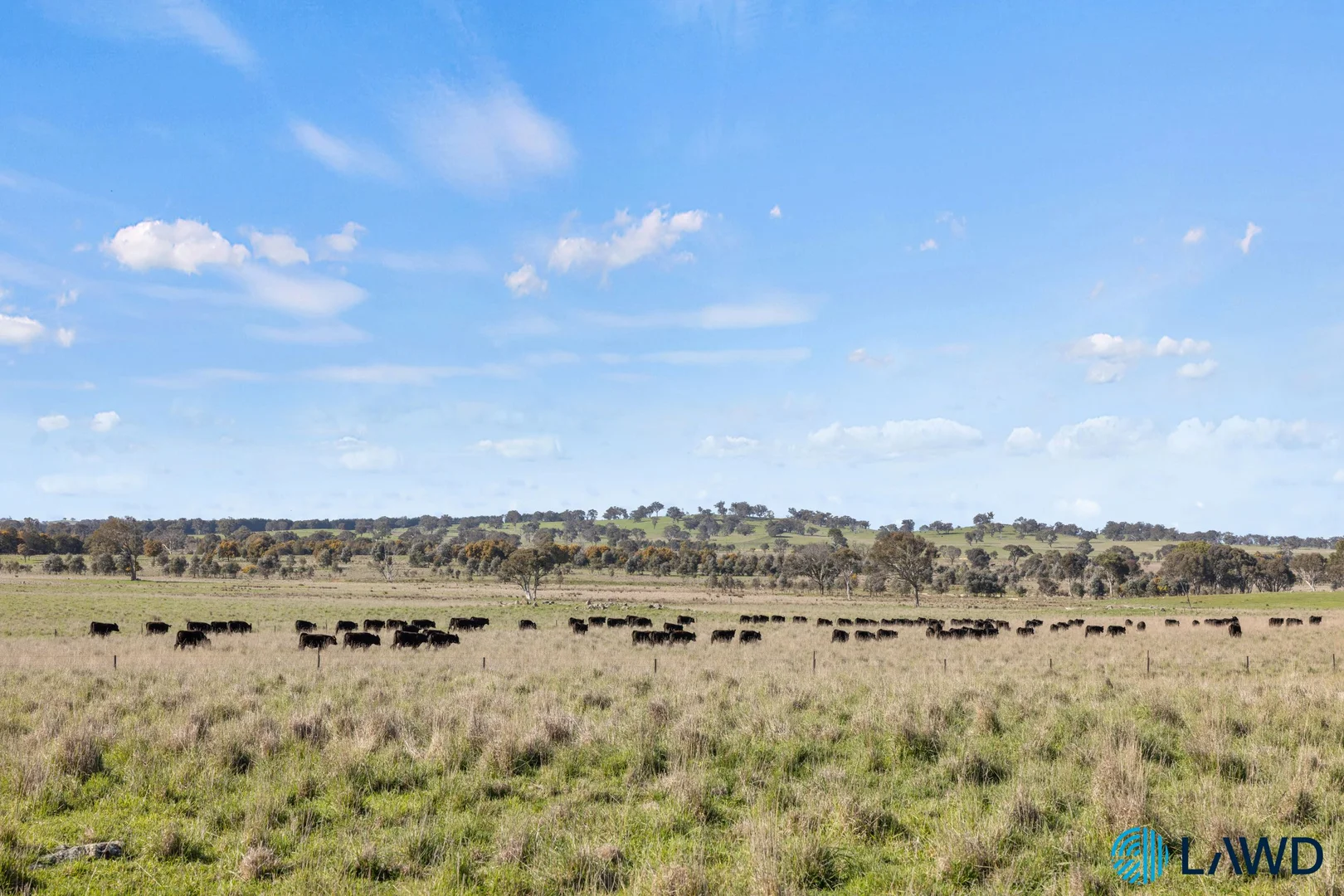 Additional image 8 of 1830 Wargeila Road, Yass NSW 2582