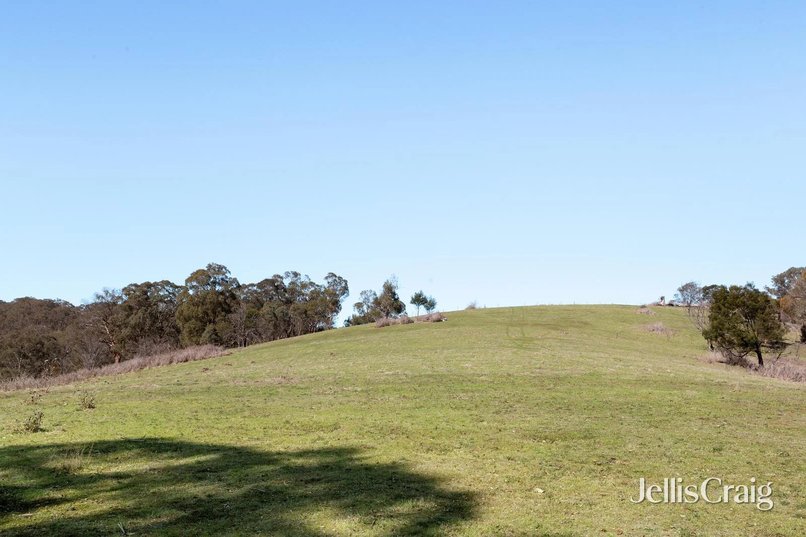 Additional image 5 of 315 Kangaroo Ground Wattle Glen Road, Kangaroo Ground VIC 3097
