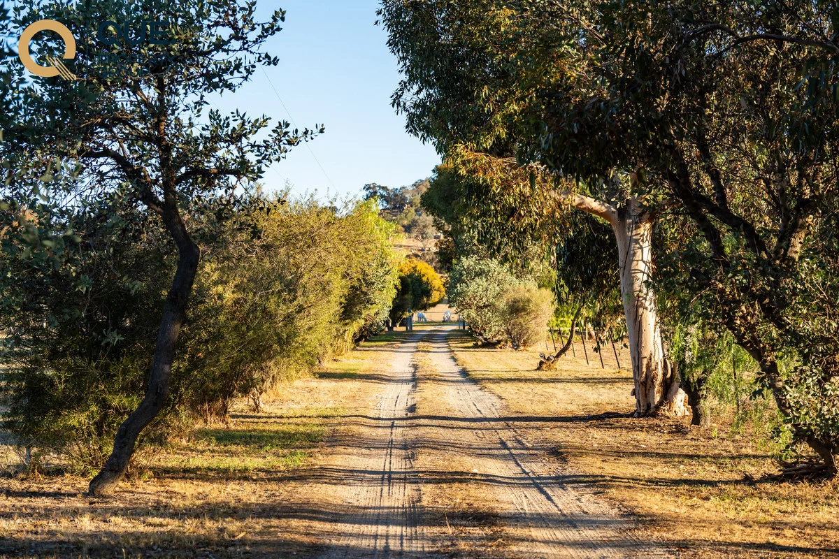 Additional image 5 of 624 Dights Forest Road, Table Top NSW 2640