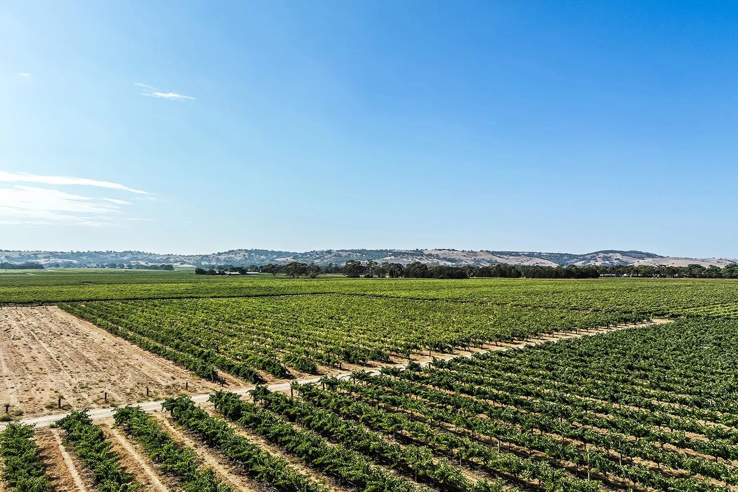 Additional image 5 of 14 Vine Vale Road, Tanunda SA 5352