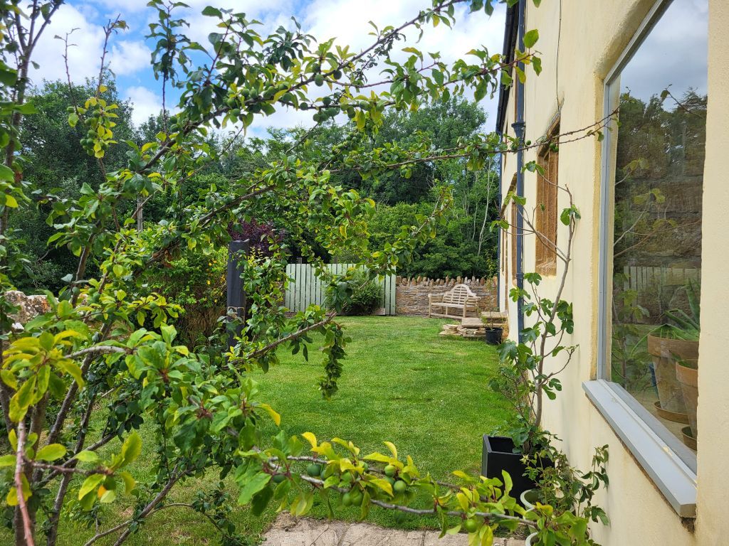Additional image 15 of 4 bed semi-detached house to rentWest Coker Hill, Yeovil BA22