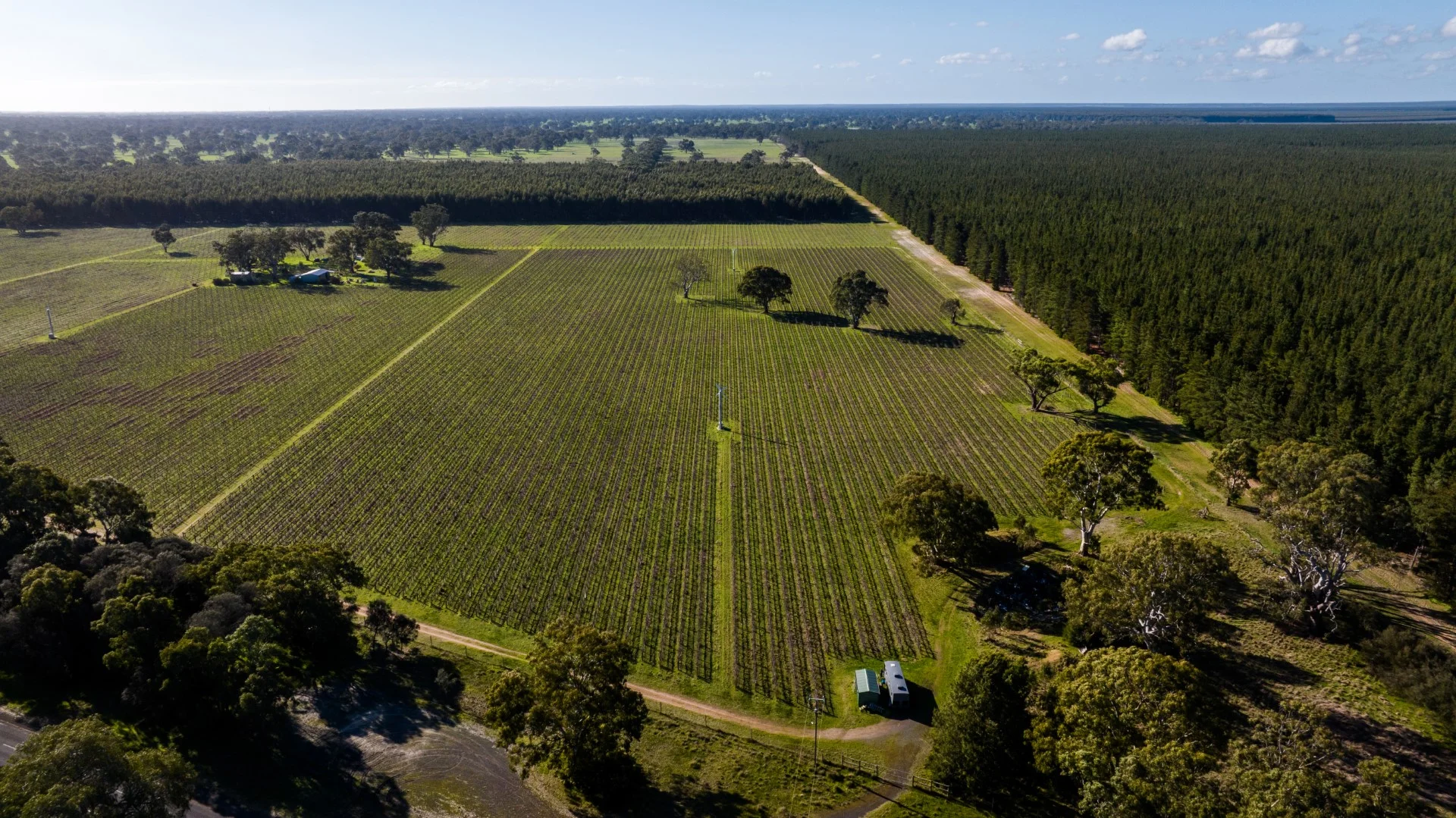 Additional image 17 of 719 Casterton Road, Penola SA 5277