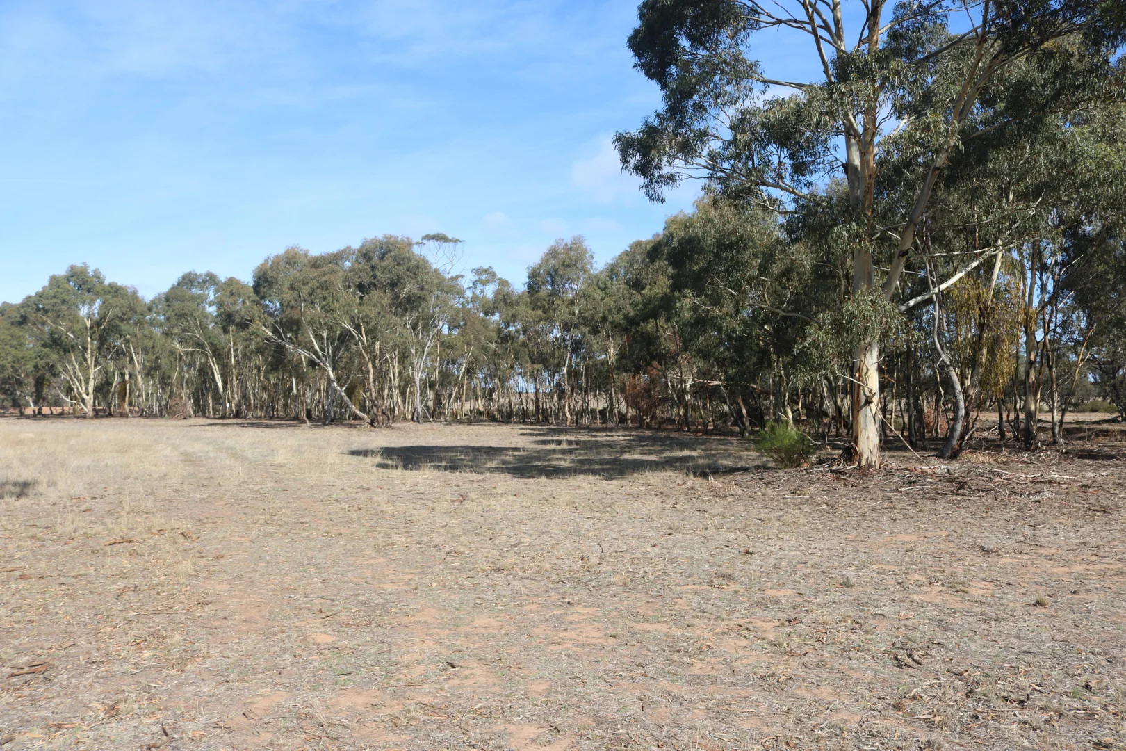 Additional image 15 of Old Boort Road, Wedderburn VIC 3518