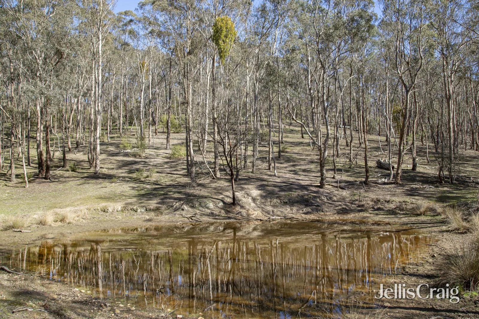 Additional image 9 of 315 Kangaroo Ground Wattle Glen Road, Kangaroo Ground VIC 3097