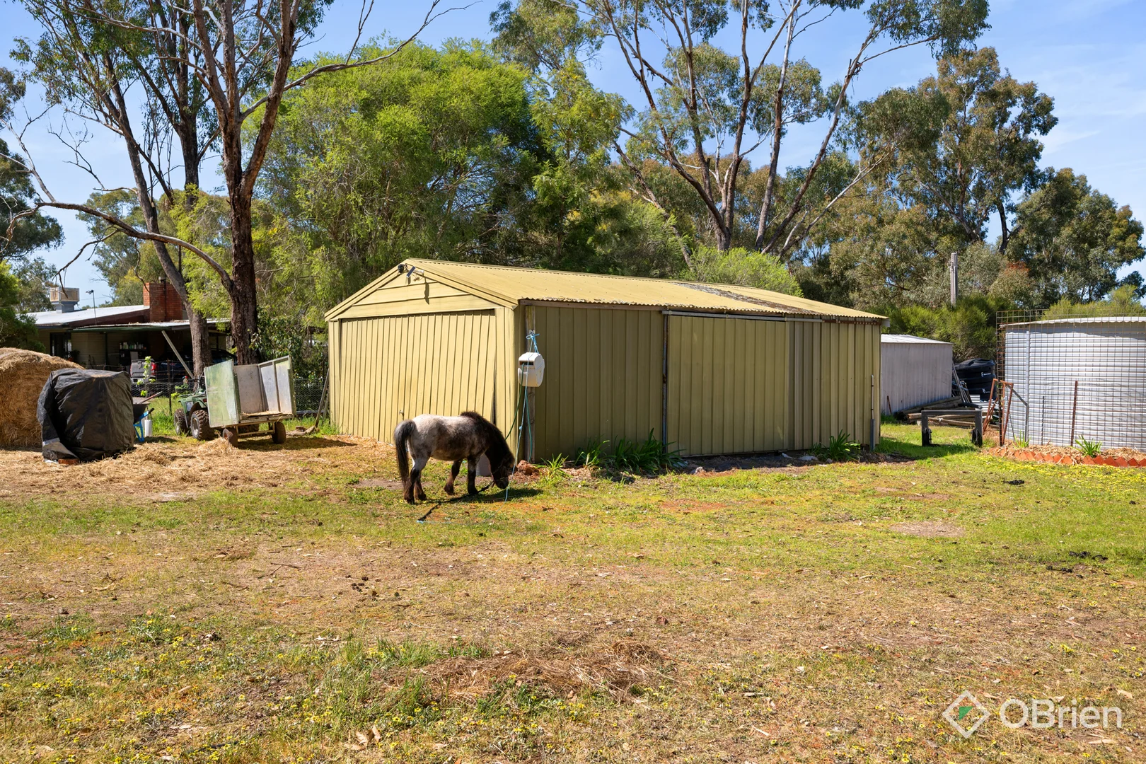 Additional image 33 of 111 Everitt Road, Peechelba VIC 3678