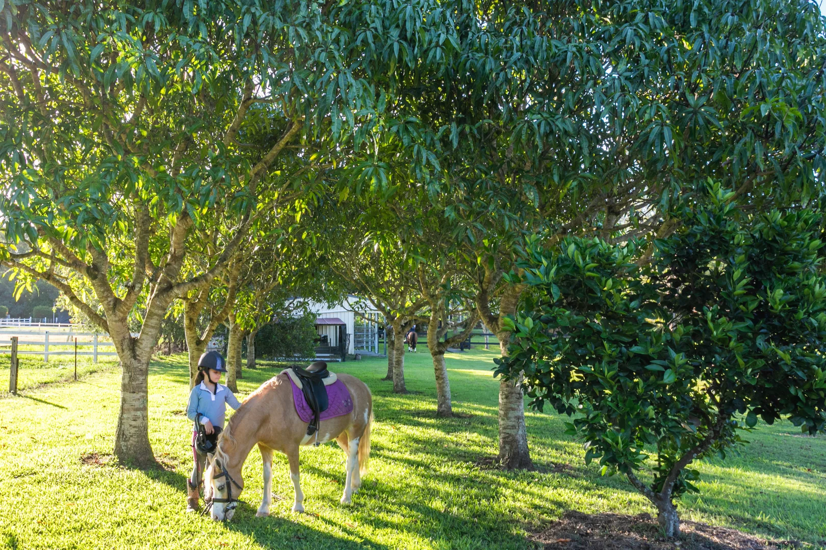 Additional image 32 of 35 Lawnville Road, Cooroy QLD 4563