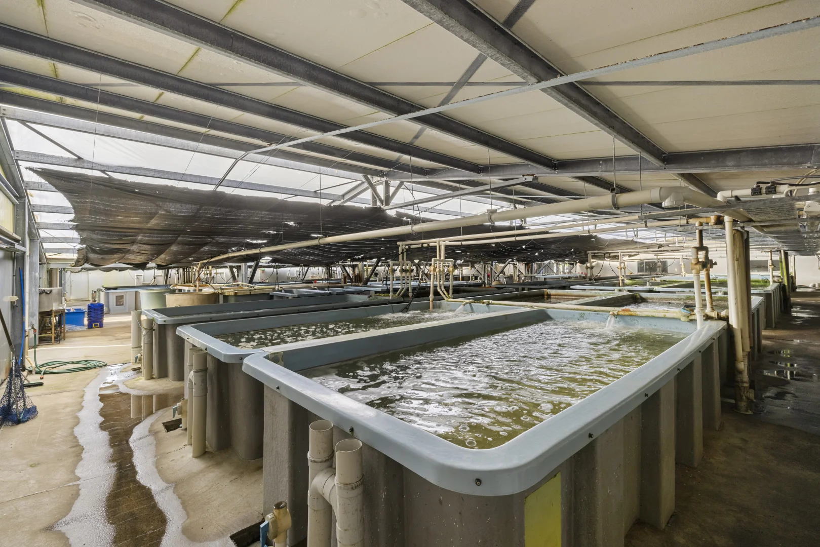 Additional image 21 of 476C Marsh Road, Bobs Farm NSW 2316